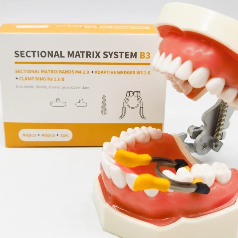 Dental Coating Matrix Bands Matrices NITI Pediatric Clamp Ring Adaptive Wedges