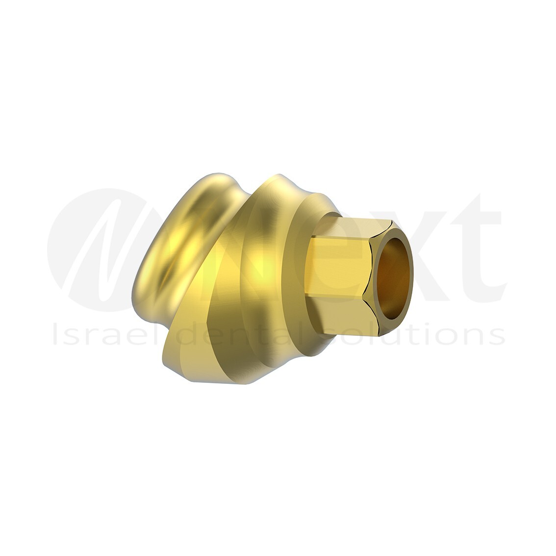 LOTx5 Angulated 30 deg Flat abutment 1-3 mm internal hex with screw