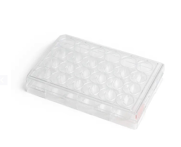 (5) STEMCELL CellAdhere Collagen I-Coated 24-Well Plates Flat-Bottom 100-0364