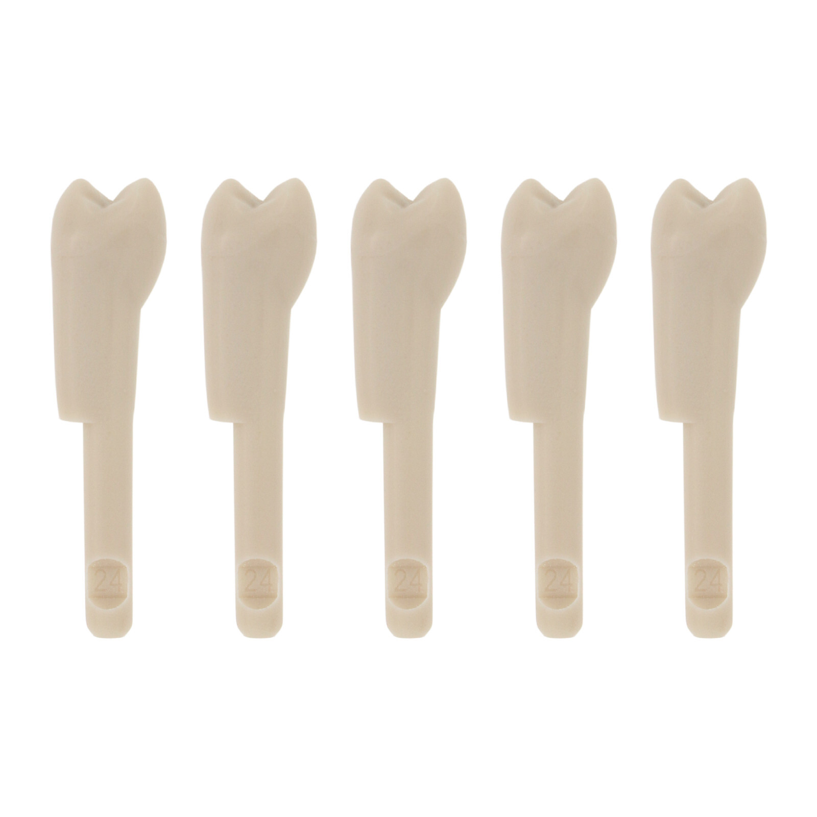 32Pcs Dental Tooth Model for KaVo Basic Model Teeth Retention Mechanism