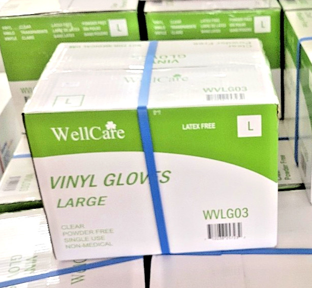 Vinyl glove powder free clear, large, latex free single use case of 1000 count