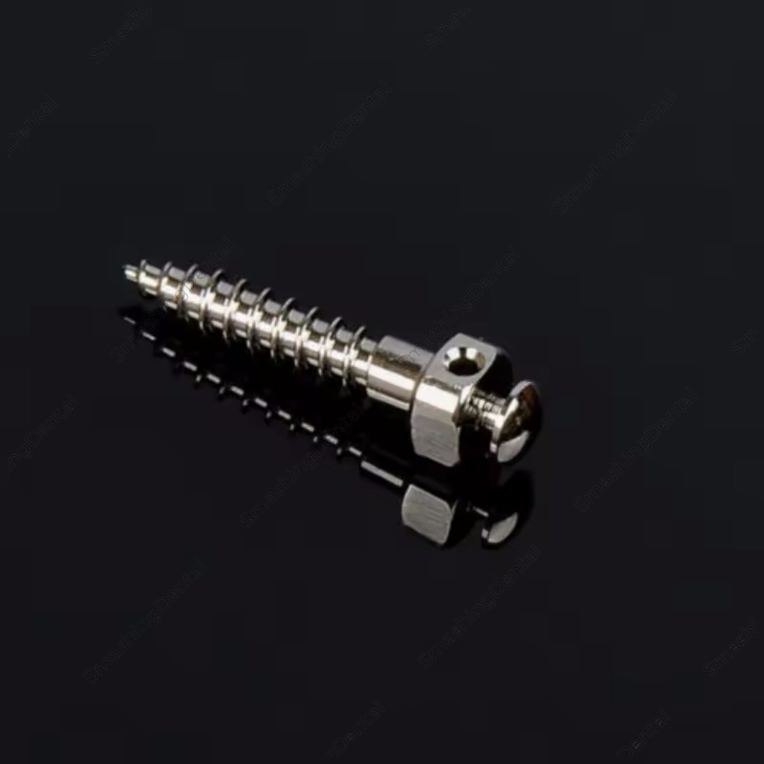 Dental Orthodontic Mini Implant Micro Screws Titanium TC4 Screw TAS Anchorage