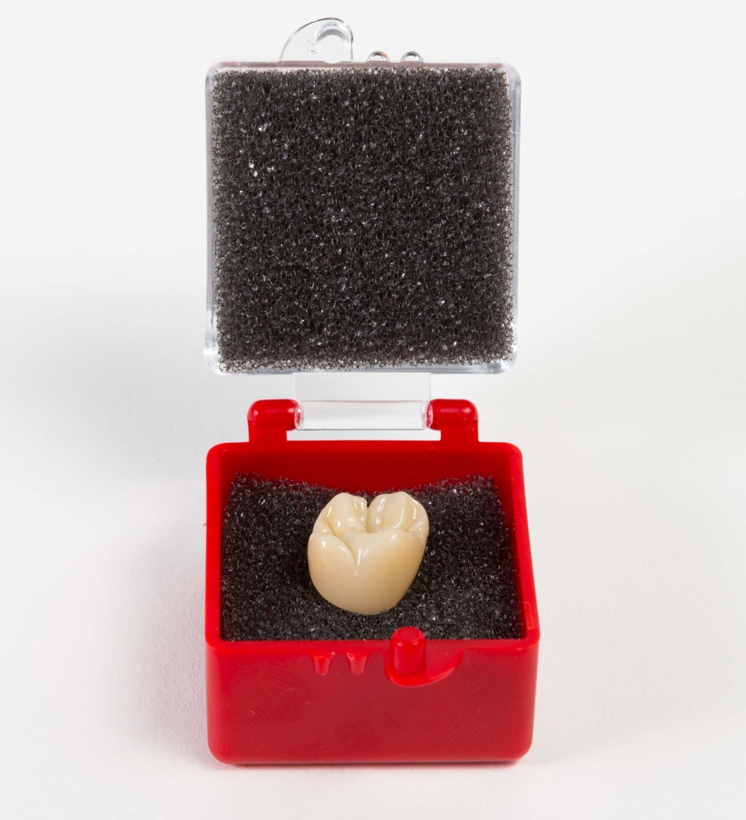 1″ Rigid Crown Box Pre Packed with Foam, Red/Clear 500 Pcs Made in The USA