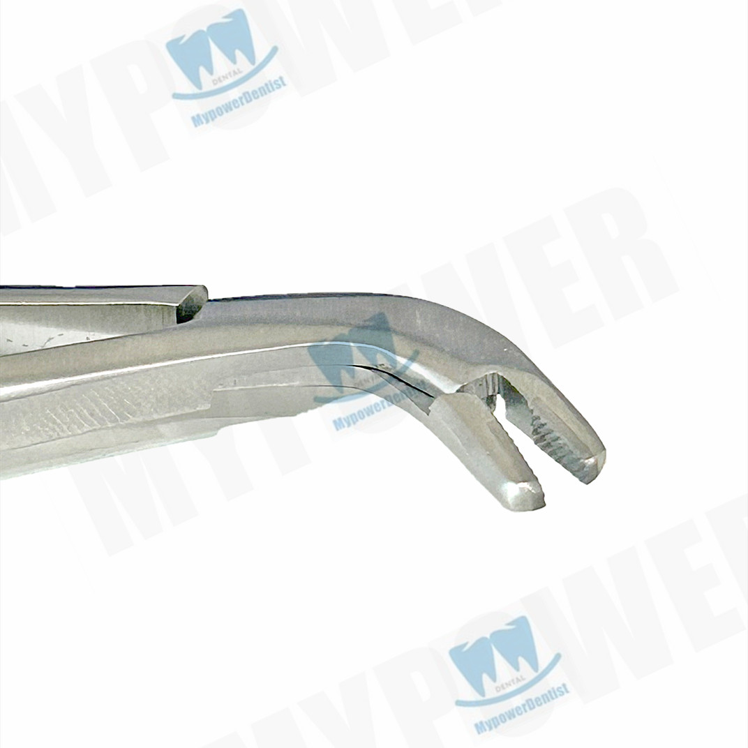 Dental Matrix Bands Ring Sectional Matrice Clamp Fit Palodent V3 System
