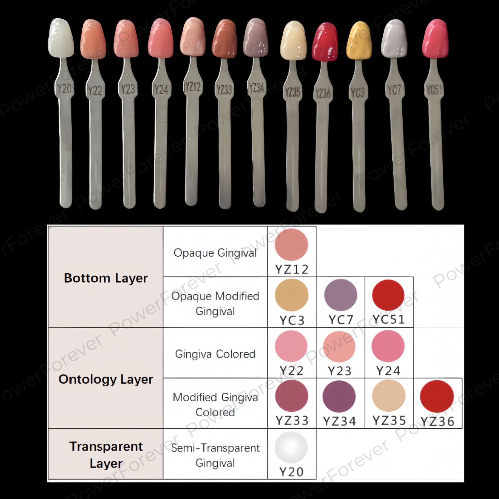 Dental 3D Gum A-D Shade Guide Pink Gingiva Aesthetic Composite Resin Restoration