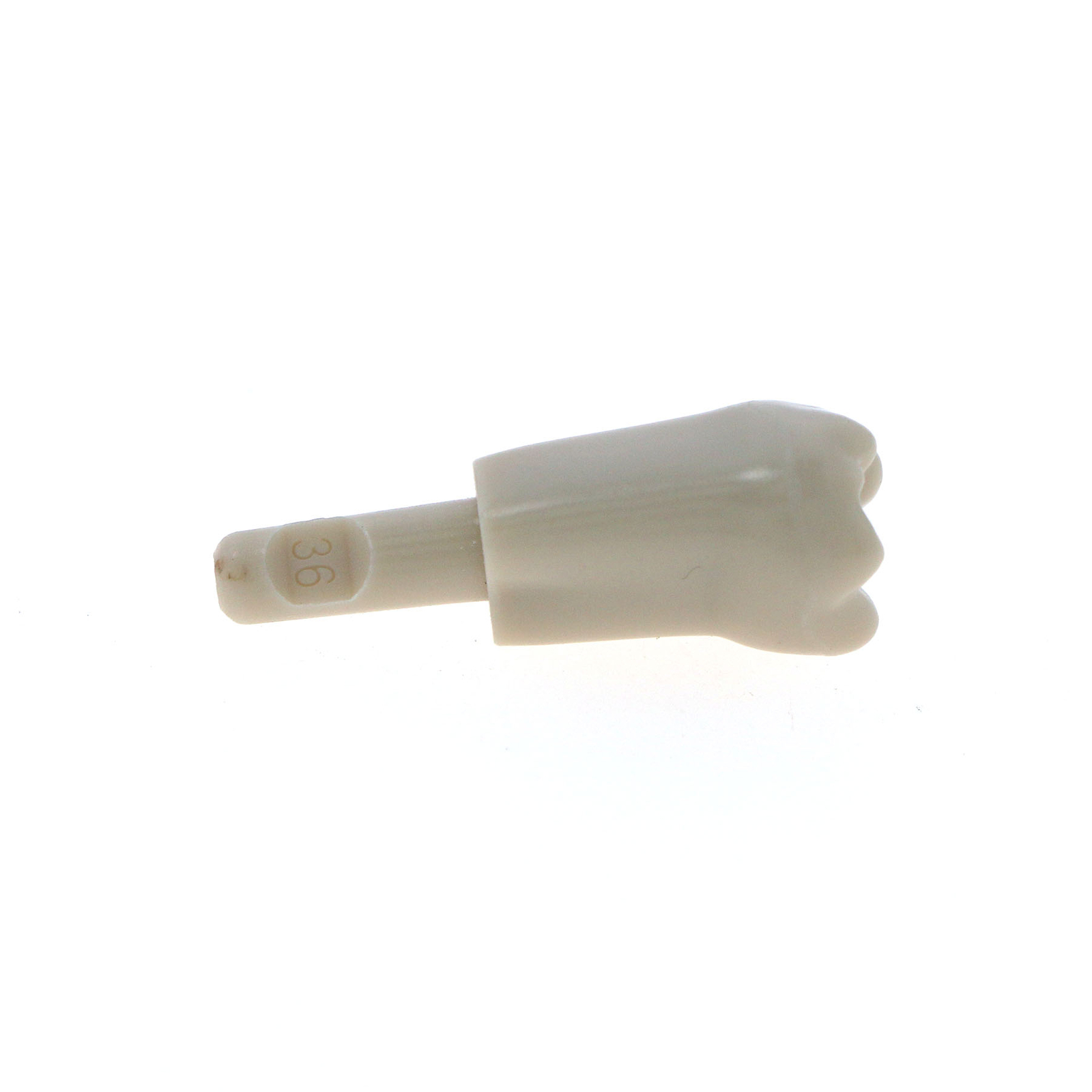 32Pcs Dental Tooth Basic Model fit KAVO Teeth Retention Mechanism Size Marked