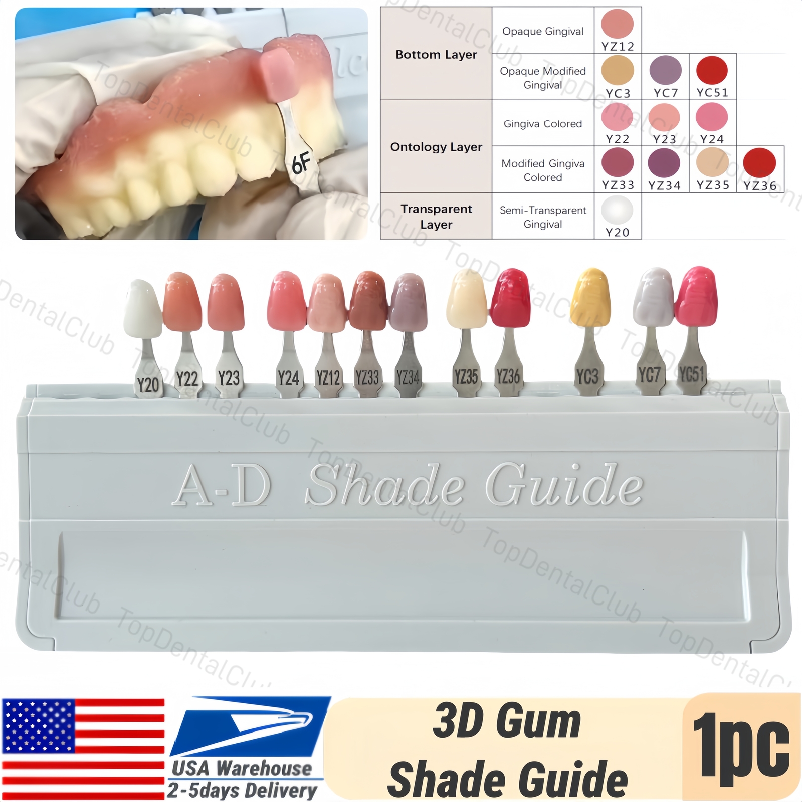 USA STOCK Dental Gingiva Aesthetic Composite Resin Pink 3D Gum A-D Shade Guide