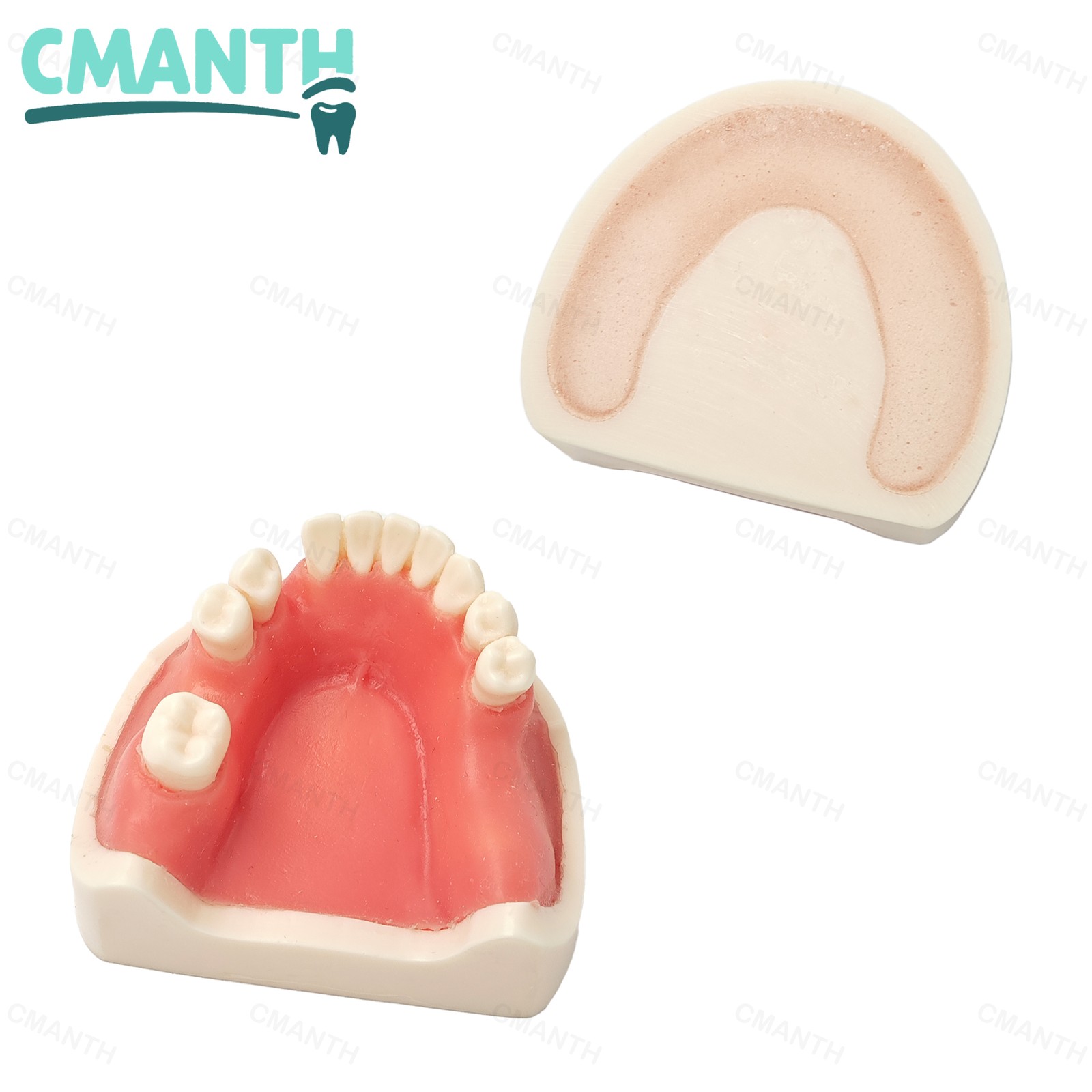 US Dental Implant Model Soft Gums Model Drilling Training Open Suture Practice