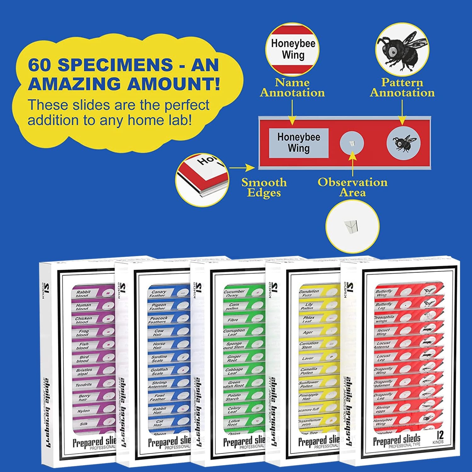 Jiusion 60Pcs Prepared Microscope Slides 60Pcs, Blue,Green,Red,Yellow,Purple