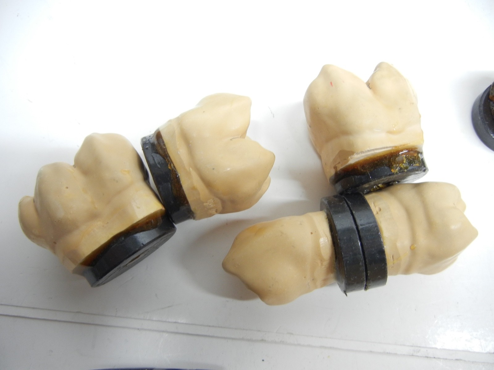 Dental study models and Study Teeth