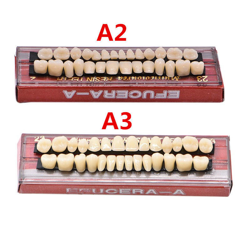 Dental Acrylic Resin Denture 23# A2 A3 Shade Full Set Teeth Anterior Posterior