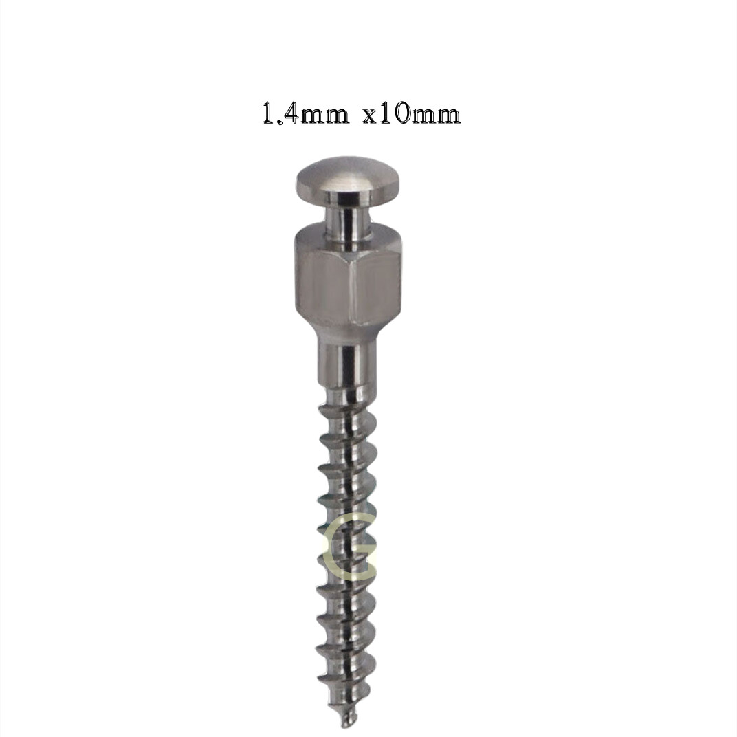 10PC Dental Orthodontic Screws Mini Implants Micro Screws Titanium TAD US STOCK