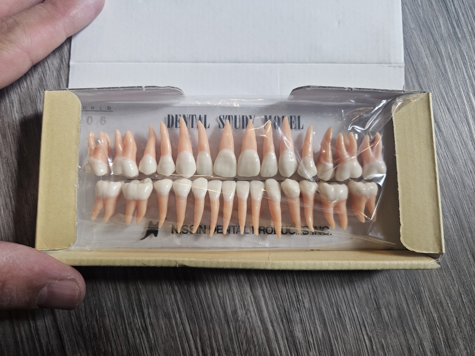 Nissin Dental Model – Kilgore International Inc. P15DP-TR.56C.1 GSD + B2-306