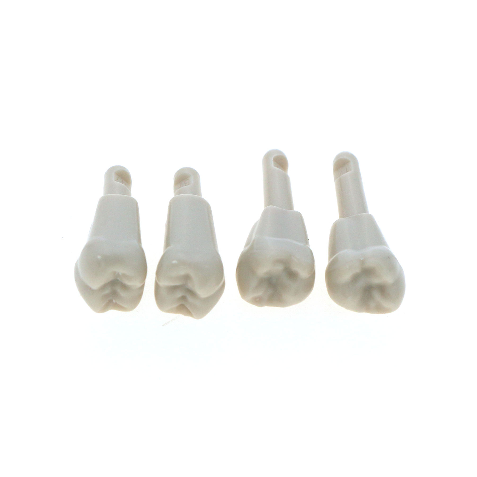 32Pc KaVo Basic Tooth Model Spare Parts for Dental Retention Mechanism