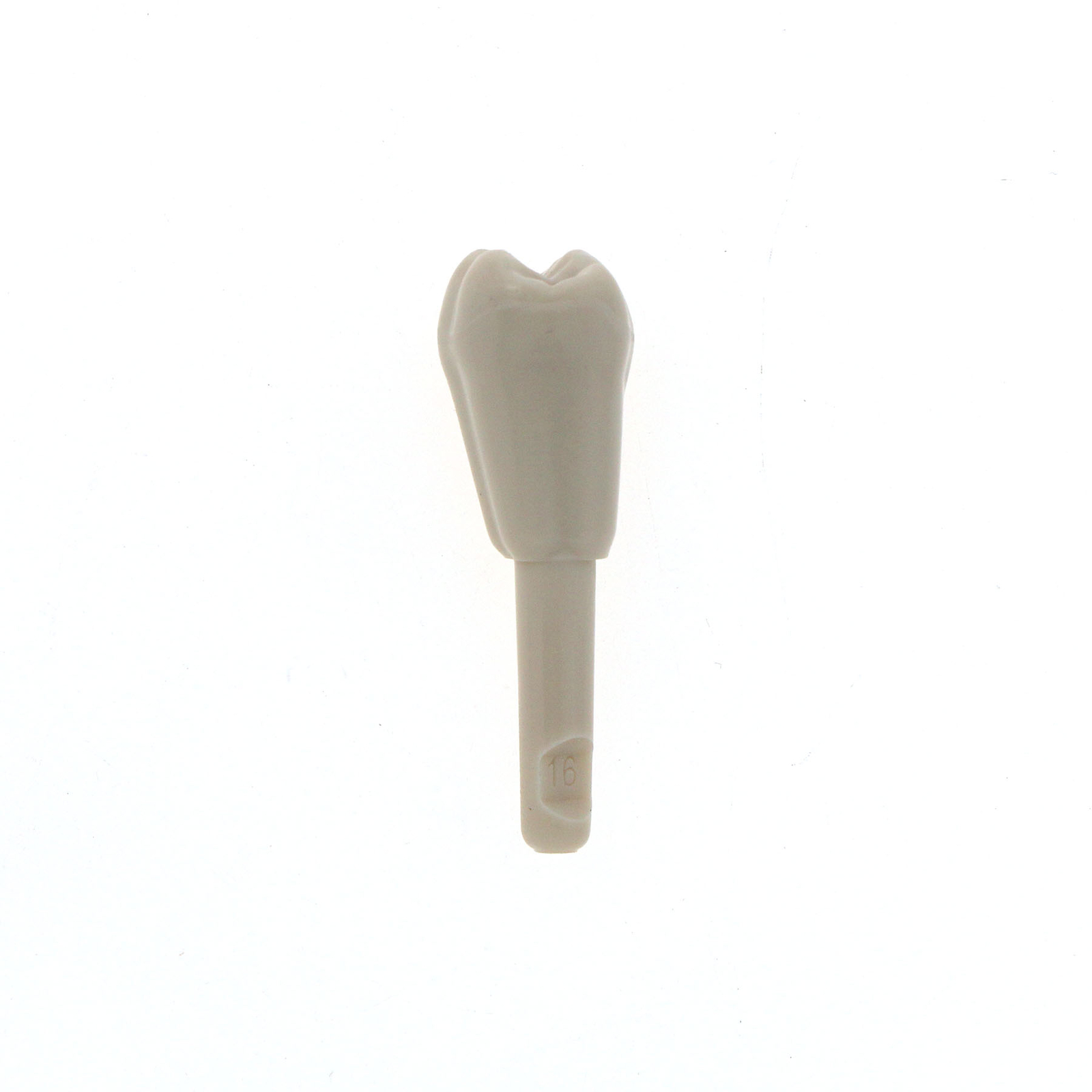 Dental Tooth Model for KaVo Basic Model Spare teeth Retention Mechanism 32Pcs