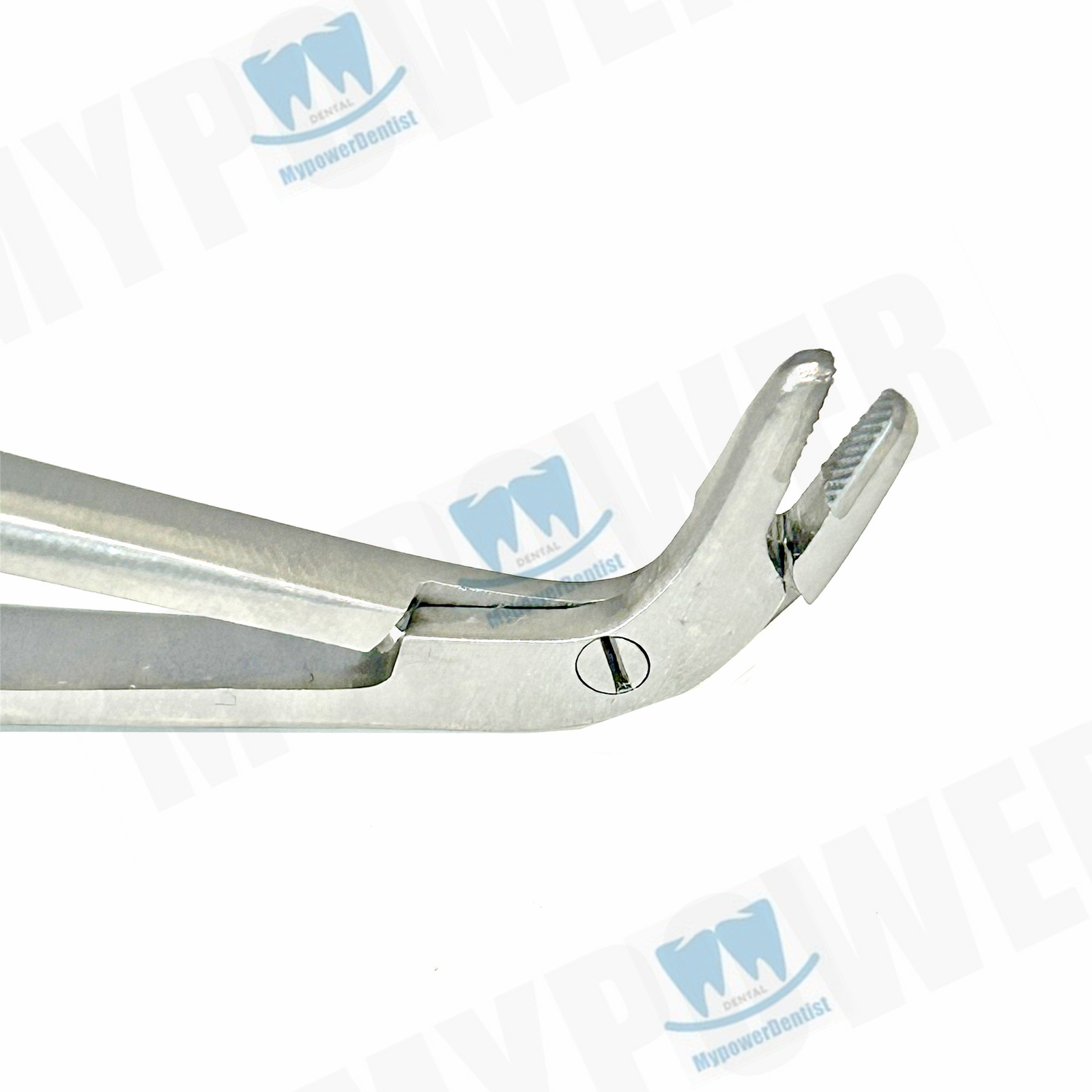 Dental Matrix Bands Ring Sectional Matrice Clamp Fit Palodent V3 System