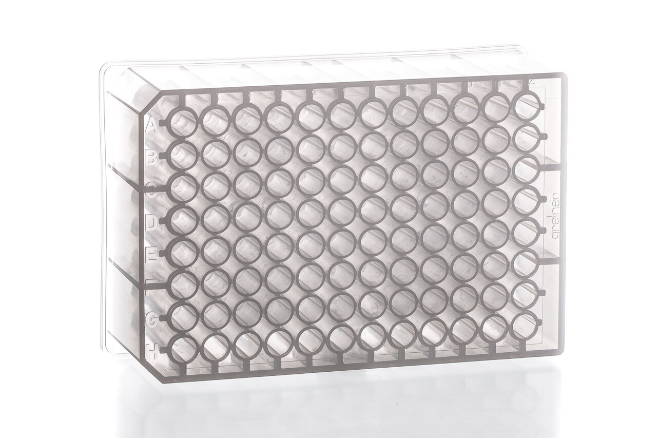 10x Greiner Bio-One 1mL Microplate Masterblock 96 Deep Well U-Bottom EXP 06/2024