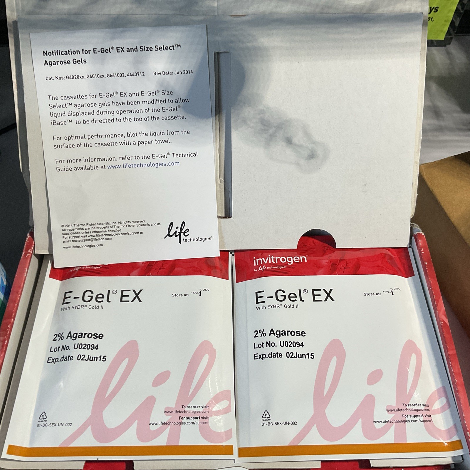Invitrogen REF G401002 E-Gel EX Agarose Gels Lot 20PCS