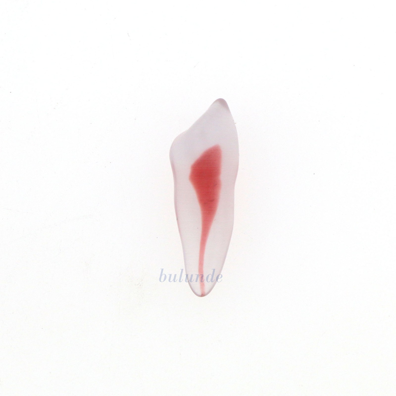Dental Training 3D RCT Endo Tooth Model Practice Model Curved Root Resin Teeth