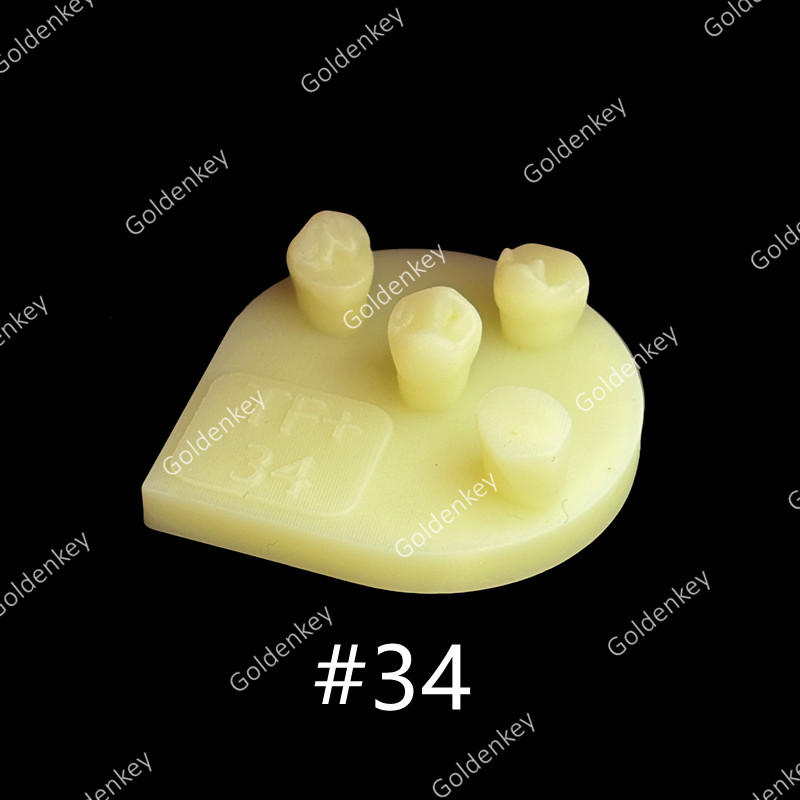 8pcs Dental Tooth Shape Practice Model Molar Resin Composites Filling US STOCK