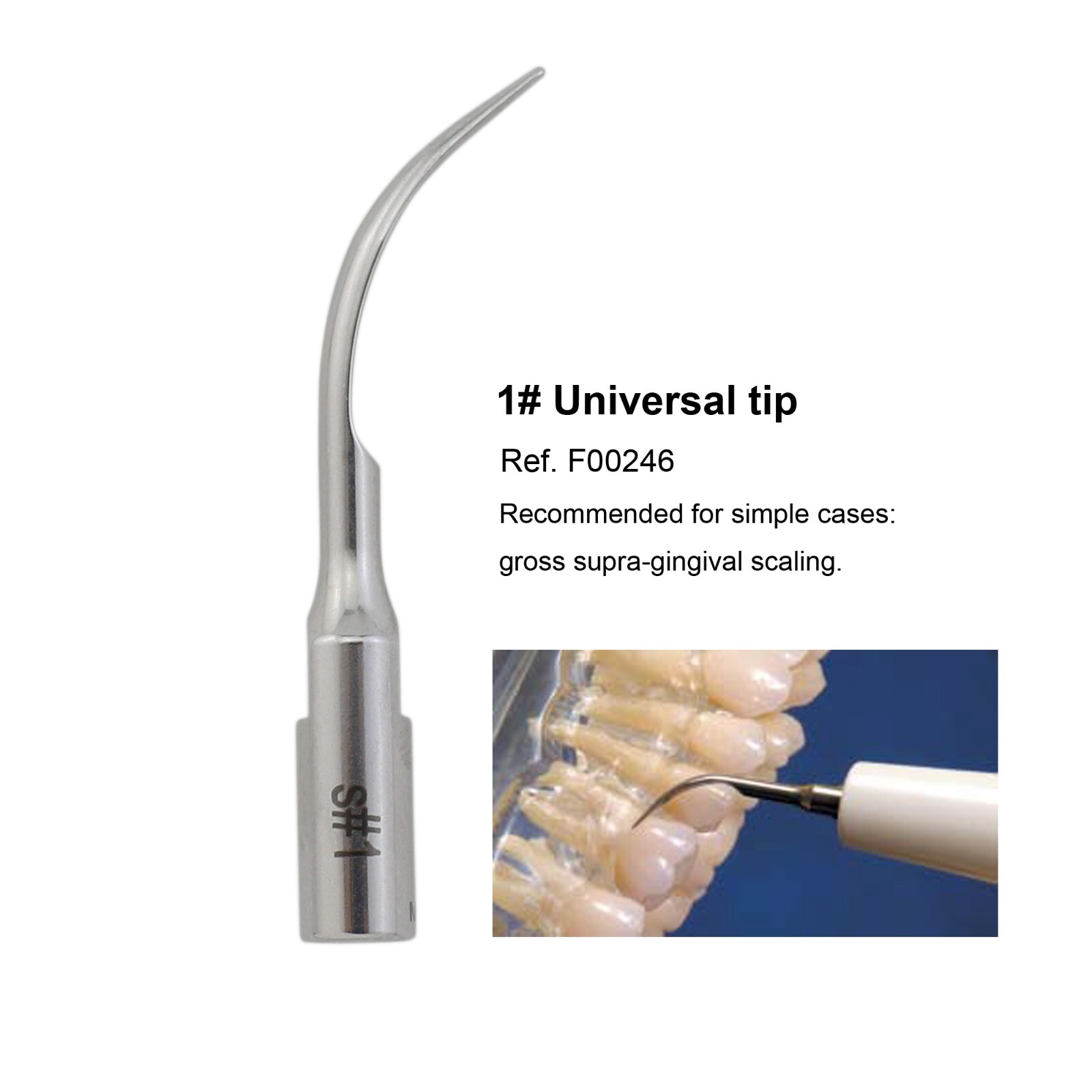 Universal Scaling Tip #1 F00246 Fit Satelec Acteon P5 XS Newtron Dental Scaler