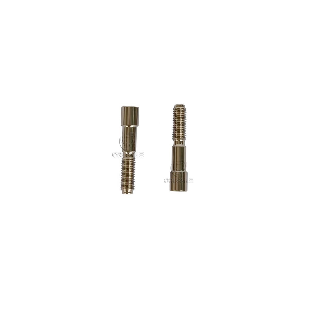 10/20/50/100 Pcs Titanium Abutment Screw Fits SIC Platform Regular