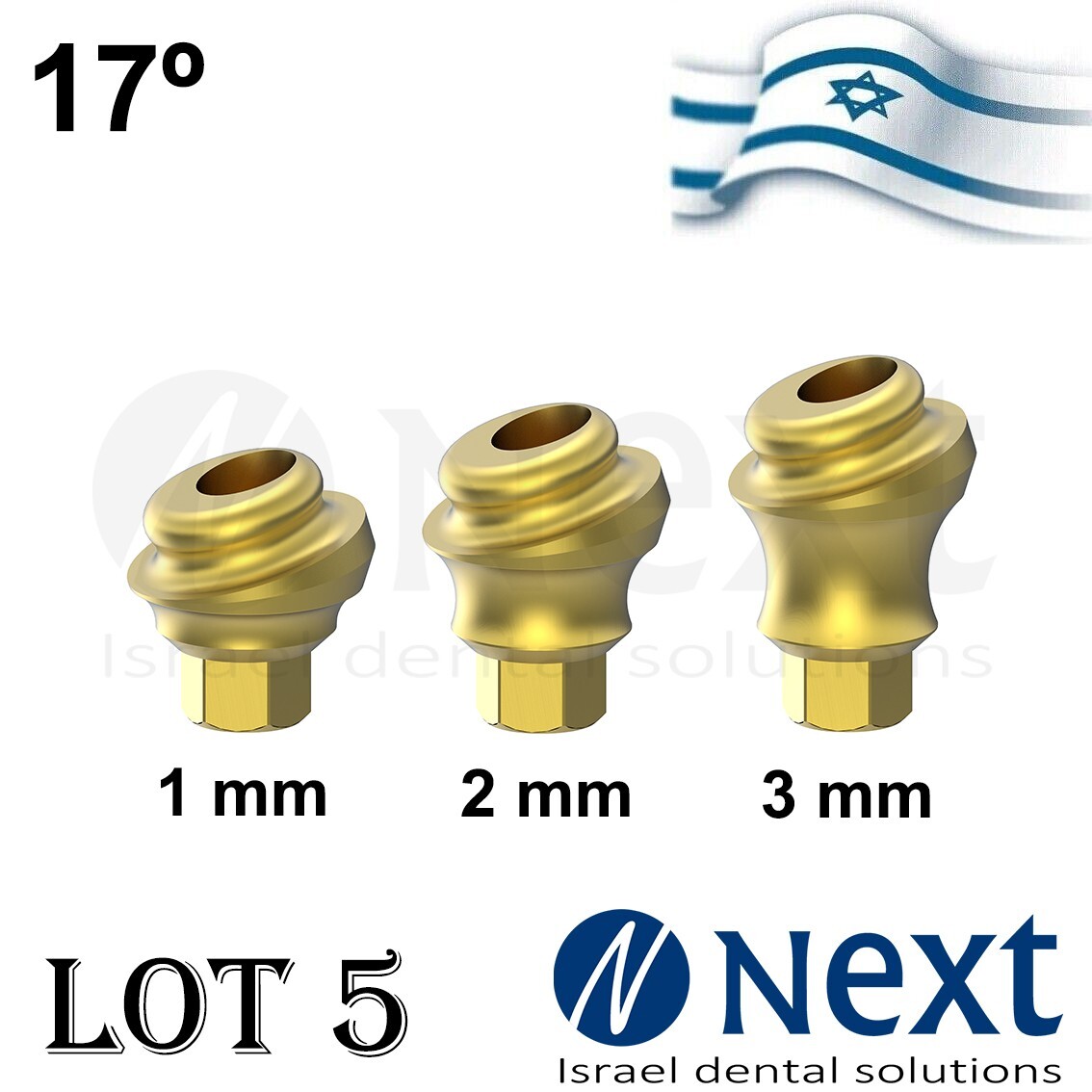 LOTx5 Angulated 17 deg Flat abutment 1-3 mm internal hex with screw