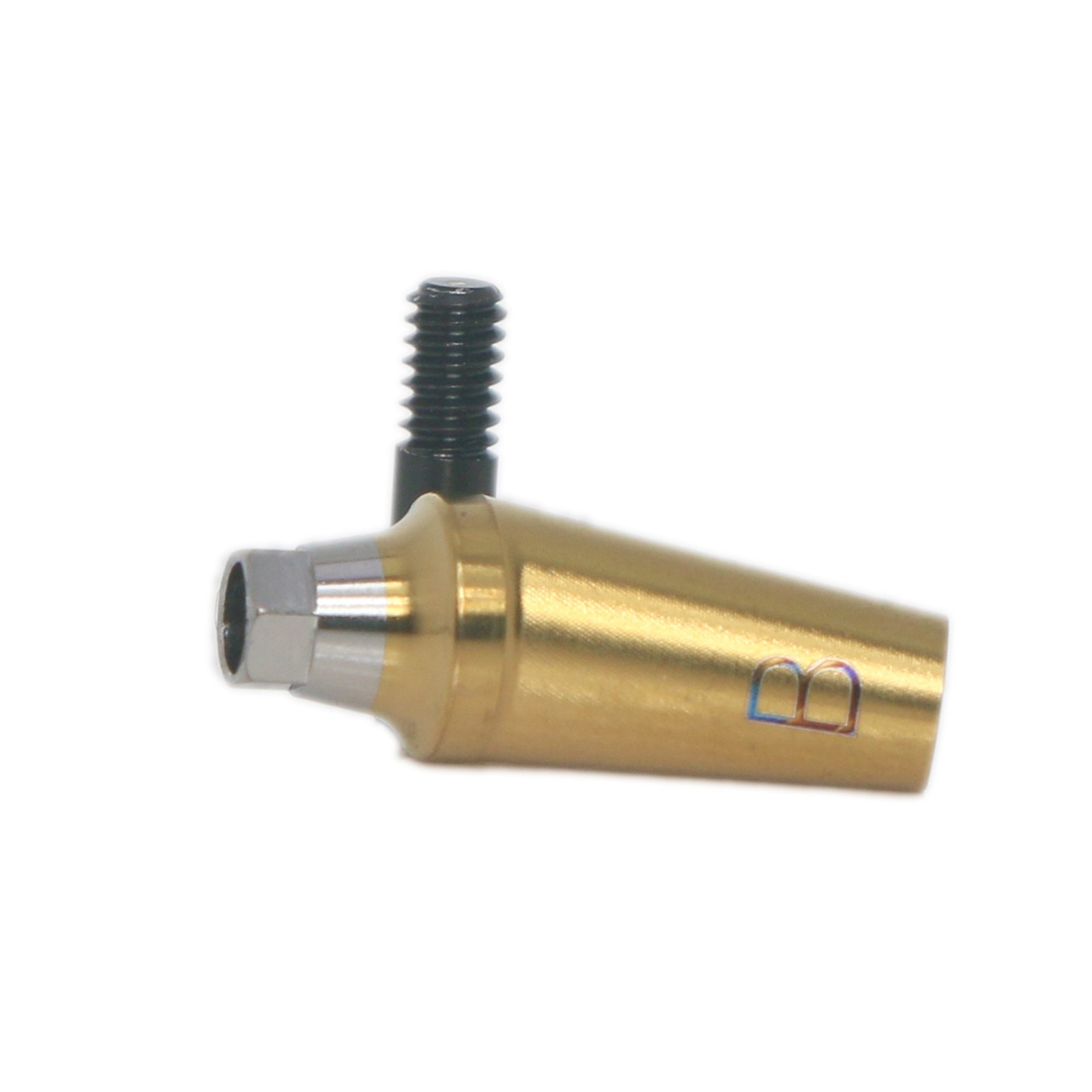 Regular Anatomic 17° Angled Abutment Fits Hiossen Osstem TS Ø4.5/5.0mm Platform
