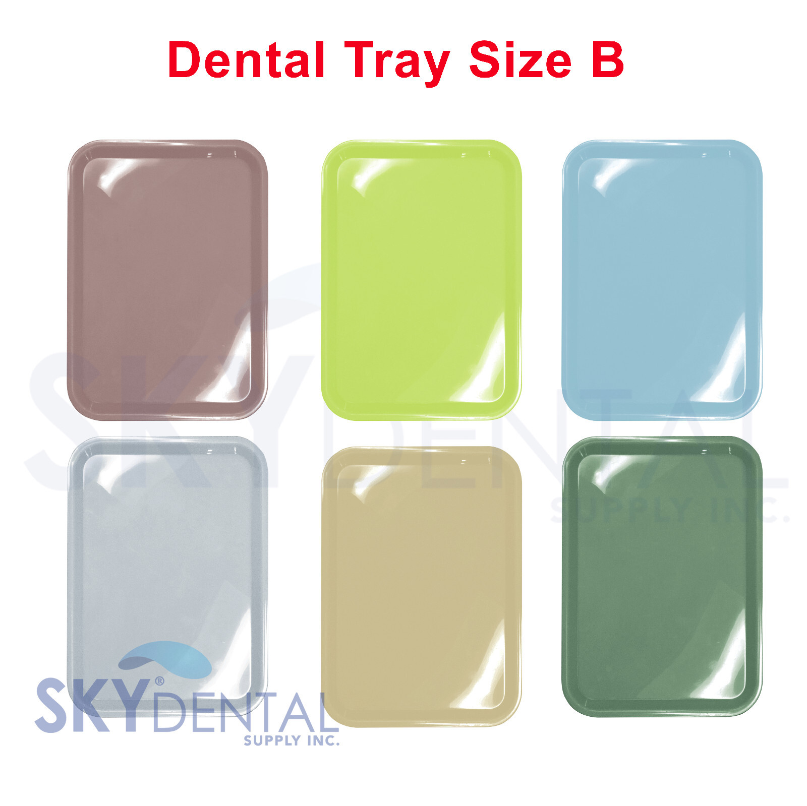 Dental Tray Autoclaving Plastic Instrument Flat Trays Size B All colors