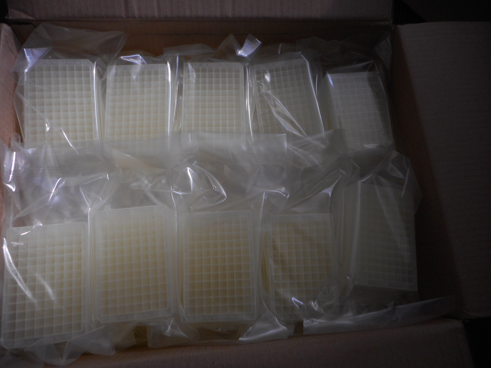 THERMO SCIENTIFIC 2000μL DeepWell Microplate 96-Well Square Sterile 50/Case