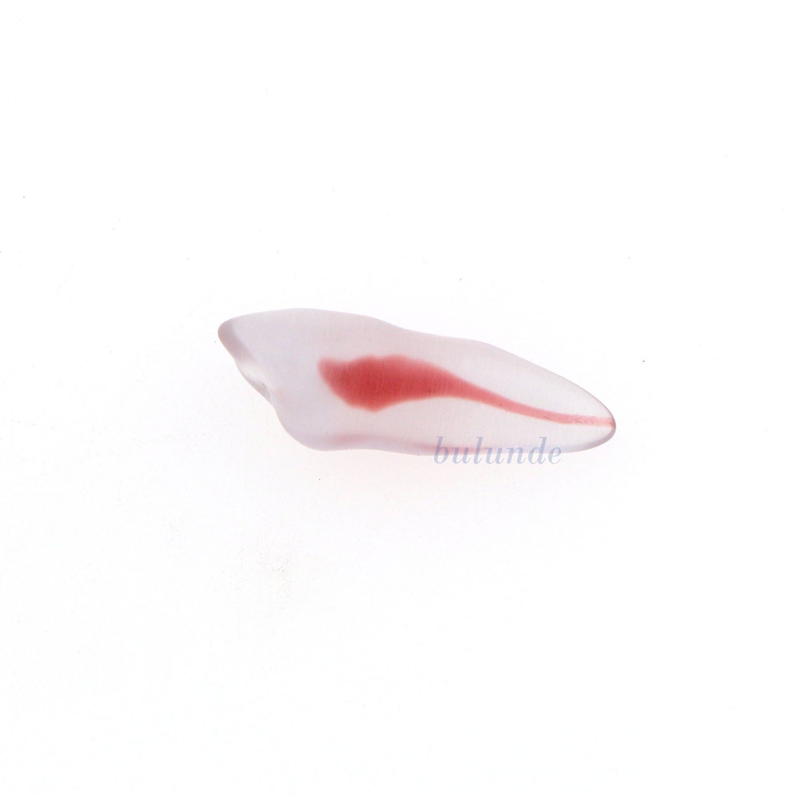 Dental Training 3D RCT Endo Tooth Model Practice Model Curved Root Resin Teeth