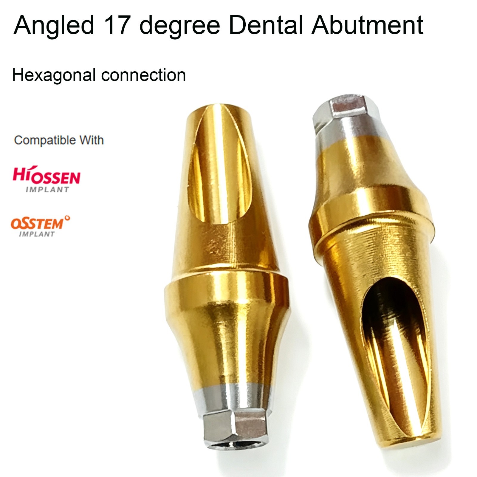 US Dental 17° Angled Anatomic Cemented Abutment for Hiossen ET OSS Regular Mini