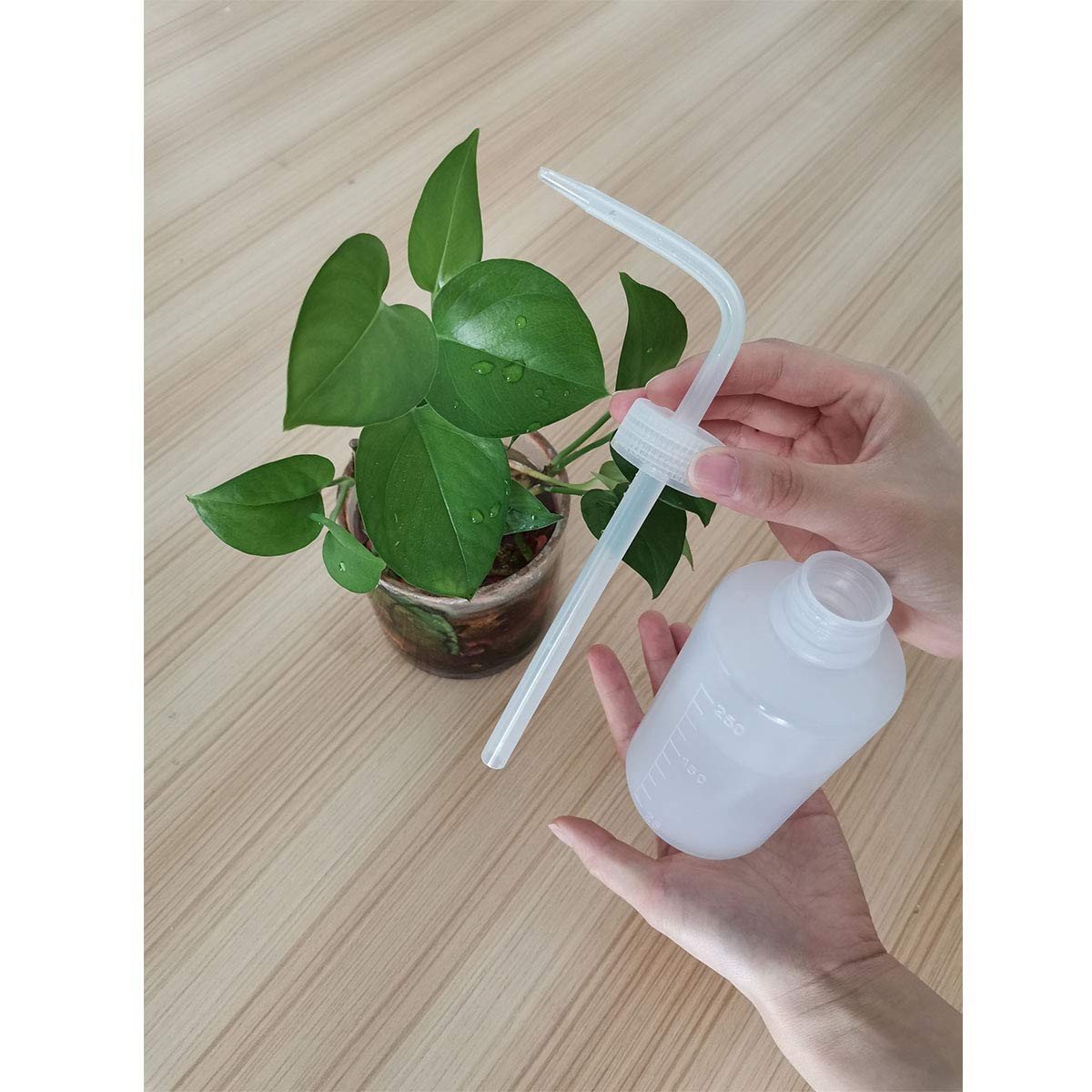 Plastic Squeeze Bottle Leak Proof, 250ml | 8.5oz White Wash Bottle Chemical, …