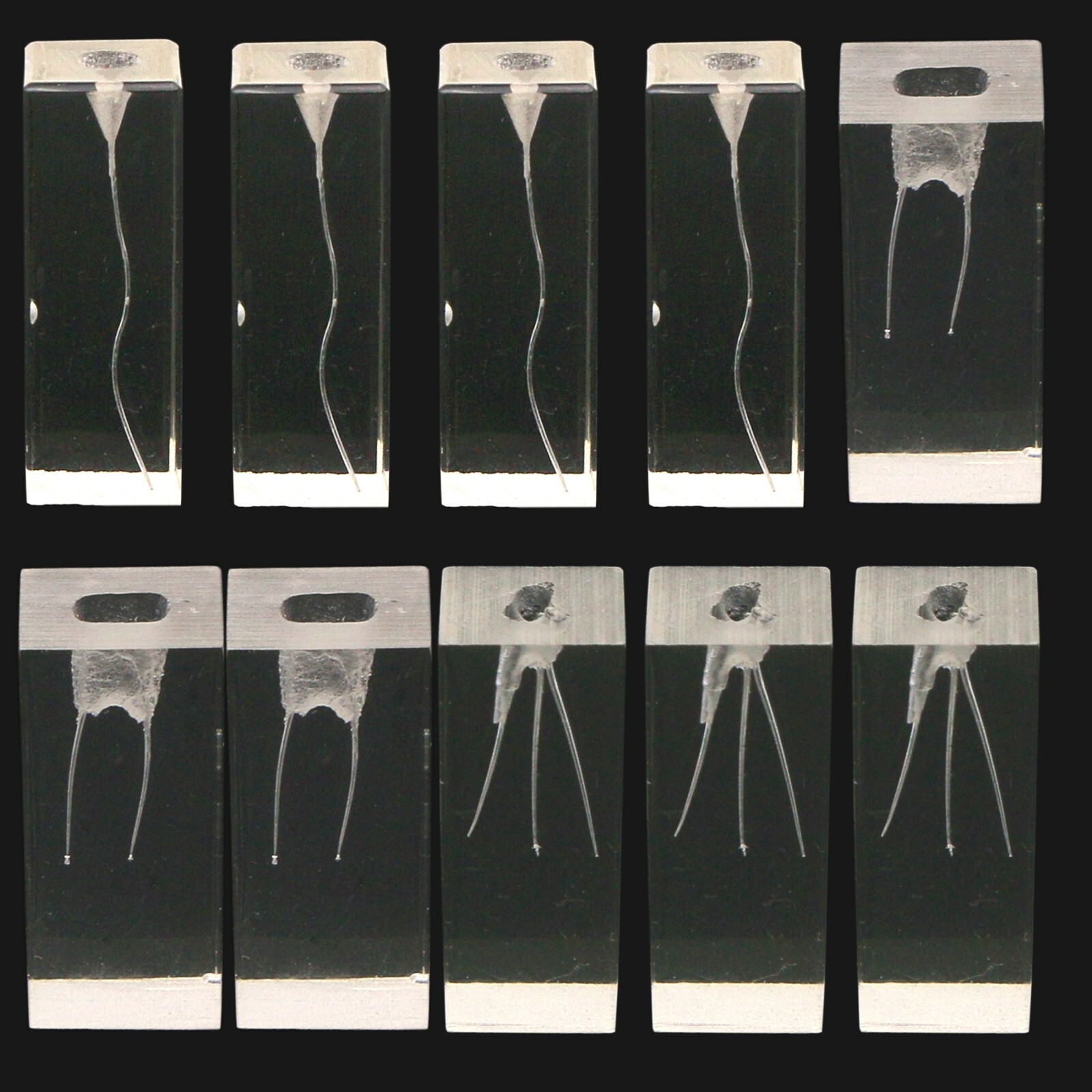10Pcs Dental Root Canal Teeth Study Model Endodontic Rotary Files Practice Block