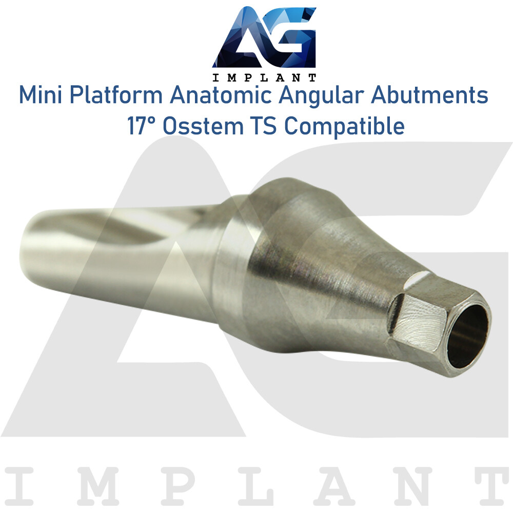 Dental Mini Platform Anat0mic Angled Prosthetic 17° 0sstem®TS Compatible