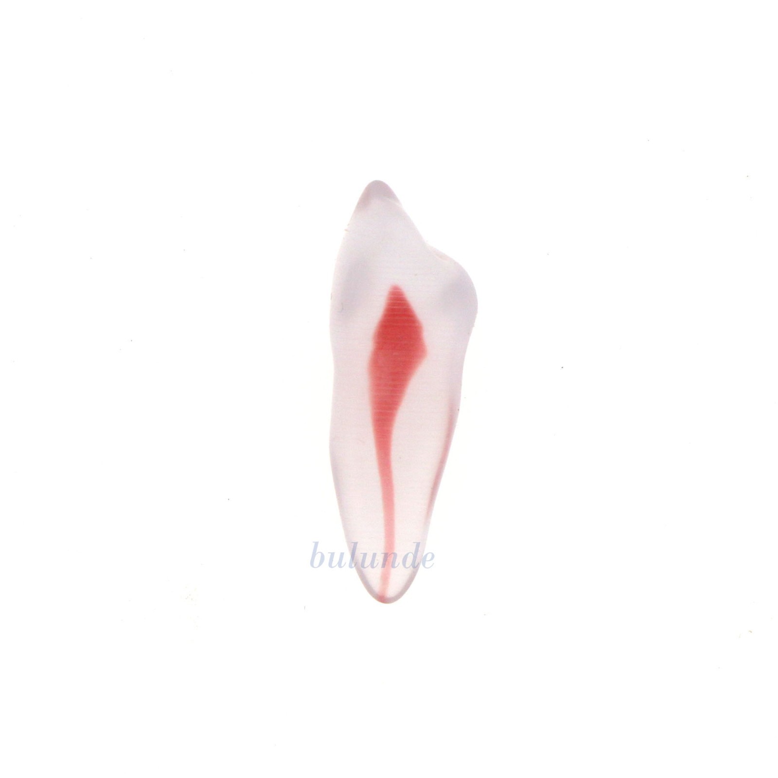 Dental Training 3D RCT Endo Tooth Model Practice Model Curved Root Resin Teeth
