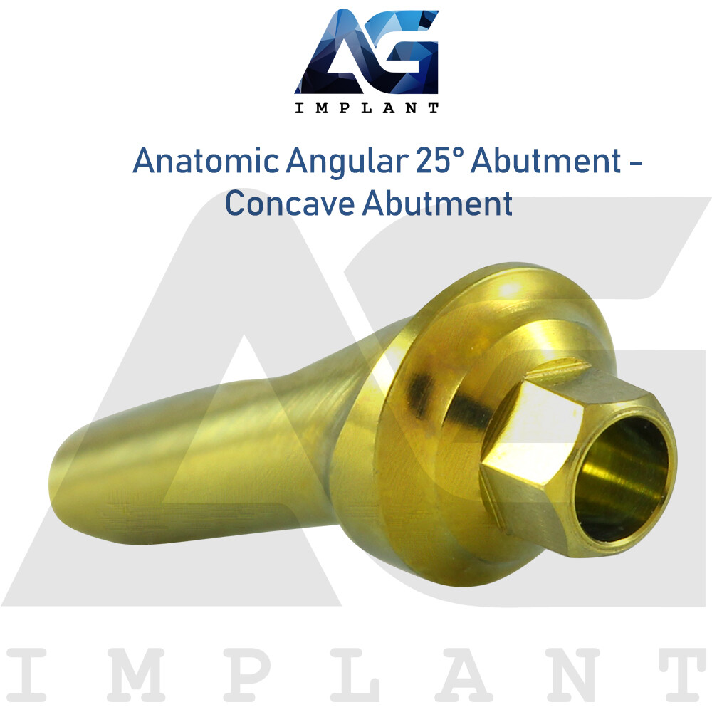 Anatomic Angular Concave Abtment 25° Titanium Int Hex 2.42