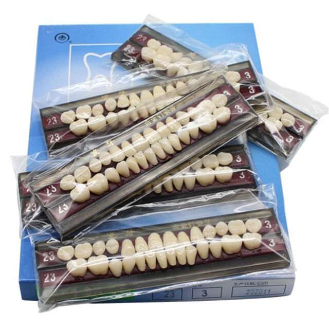 Clinical Alloy Pin Porcelain Teeth Dental Colors Shade Guide Upper Teeth #23 US